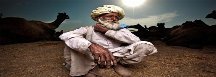 Golden Heritage– Delhi, Pushkar, Jodhpur & Jaipur Tour - 6 Days