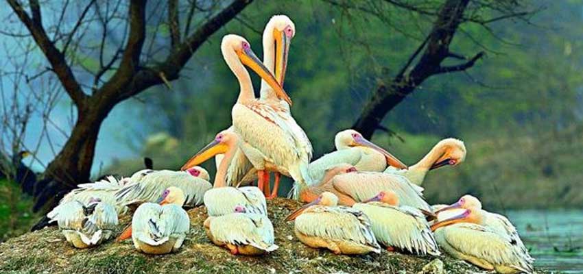Guided Agra, Bharatpur & Jaipur With Jhalana Tour - 4 Days