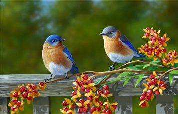 Birds, Forts & Tigers – Rajasthan Wildlife and Heritage Tour - 6 Days