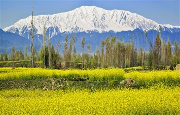 Srinagar - Pahalgam - Gulmarg 4 N / 5 D