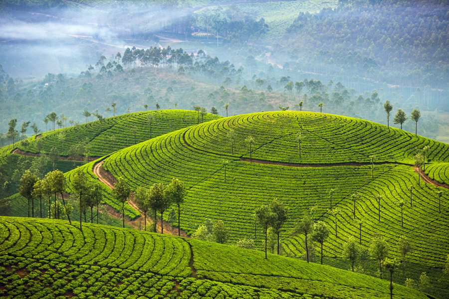 Kerala Lakes & Backwaters Nature Retreat - 4 Days