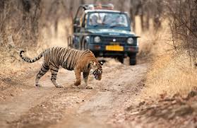 4 Days: Jaipur, Ranthambore, Agra Tour with Delhi Drop