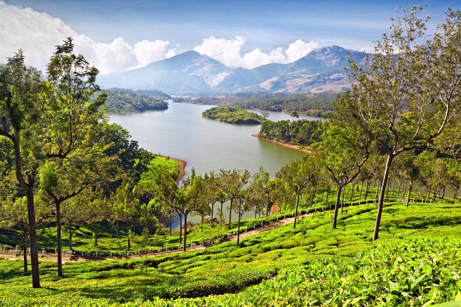 Romantic Munnar & Alleppey Backwaters Tour - 4 Days