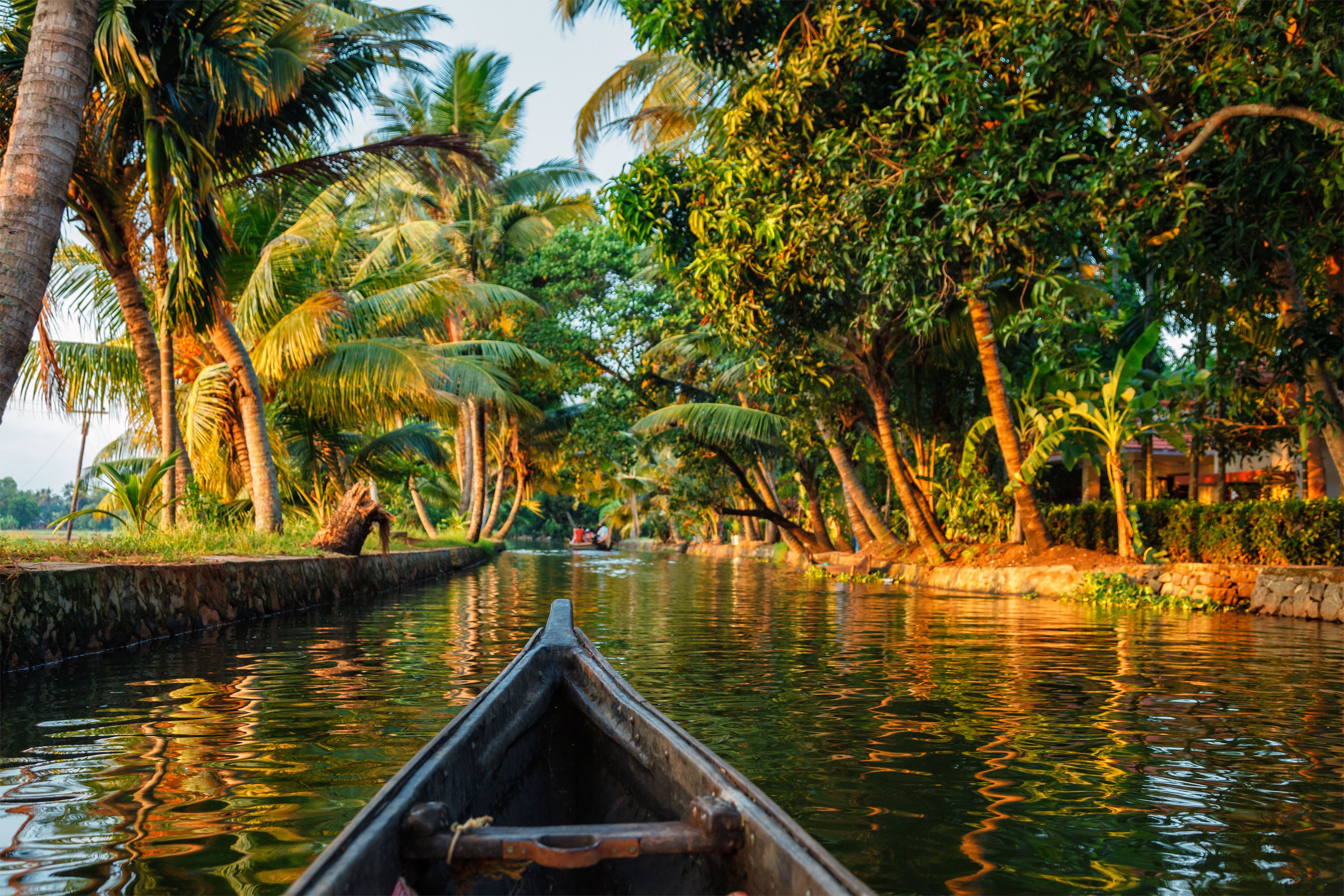 Luxury Kerala Nature & Backwaters Escape - 6 Days